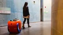 Piaggio Gita