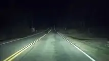 Tesla Autopilot Protects Nature - It Saved Momma Bear And Its Cubs