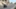 2018 Triumph Bonneville Speedmaster – First Ride