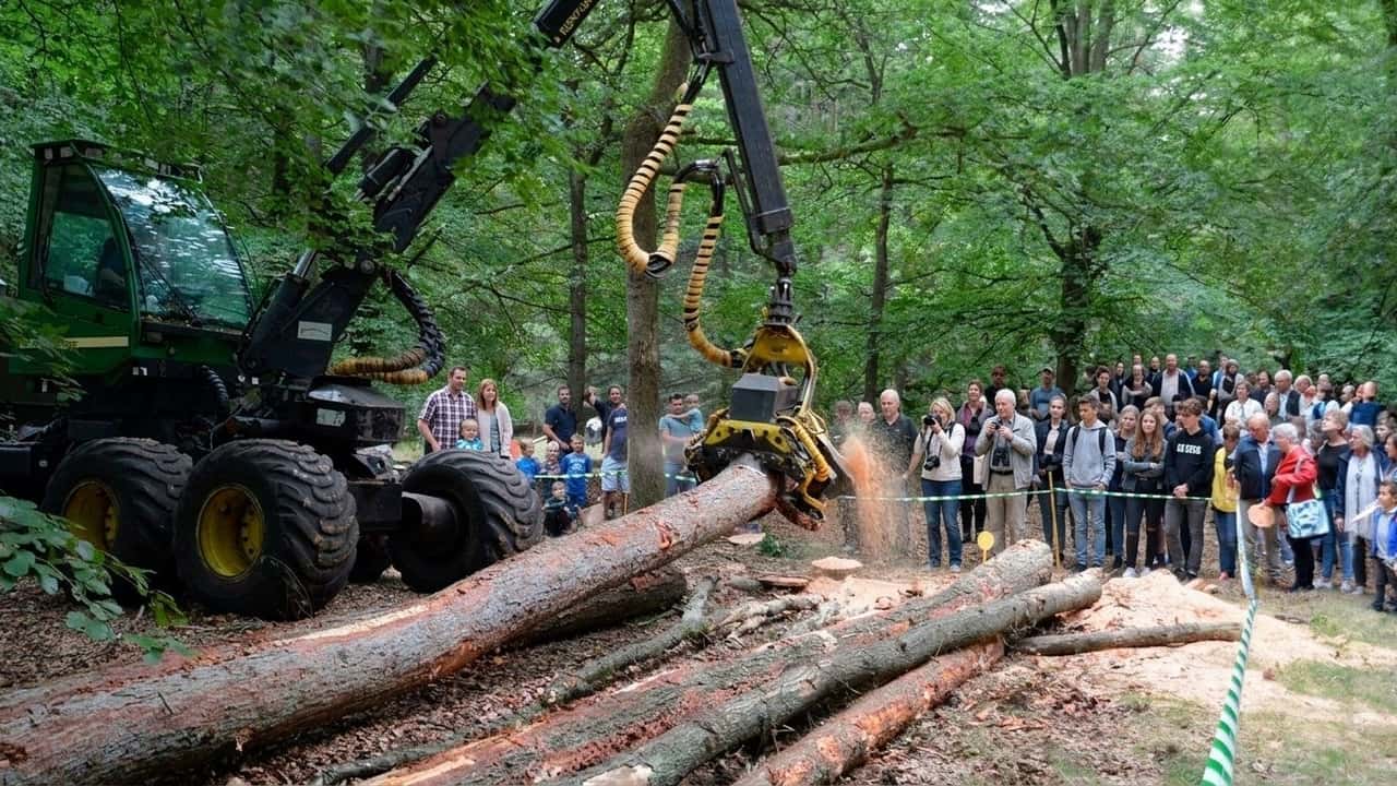 guarda-in-azione-le-macchine-forestali-prove-in-calabria