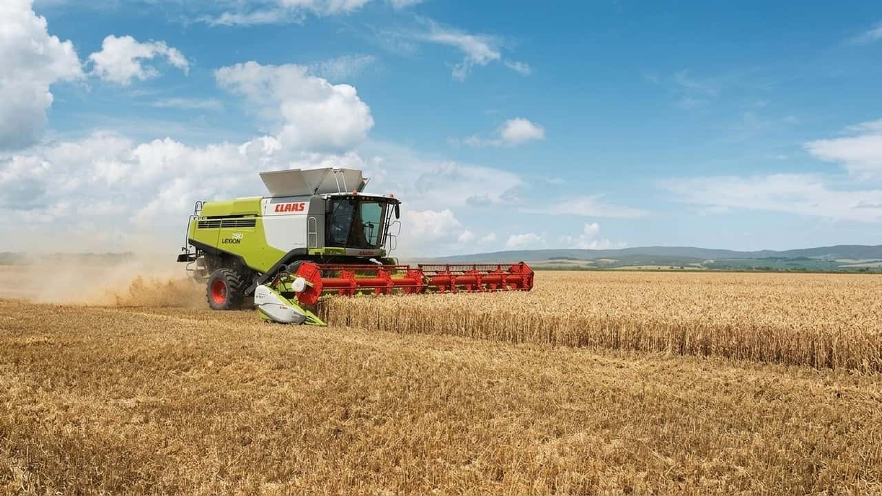 riso-italiano-prezzi-sotto-i-costi-a-vercelli-carnaroli-arborio-e-tondi-gia-in-p