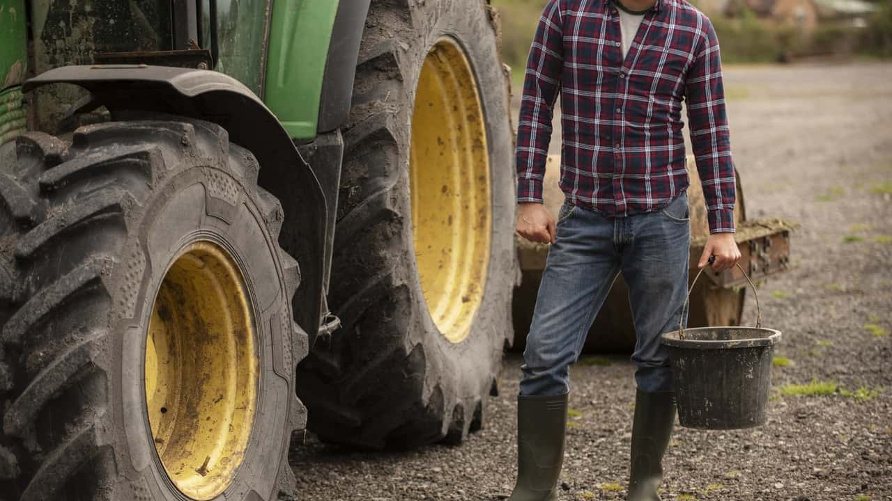 Lavoro occasionale: normative, contributi e restrizioni nel settore agricolo