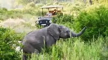 INEOS Grenadier Safari