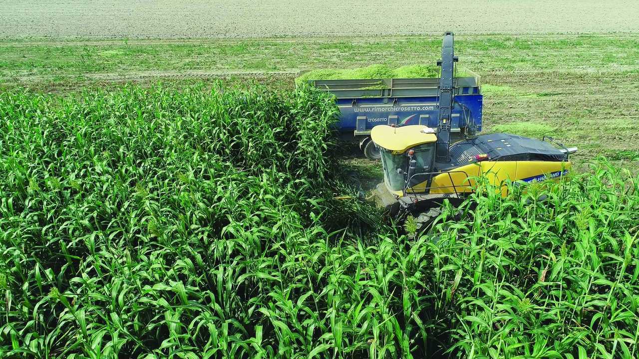 NEW HOLLAND FR920 e KEMPER 490+