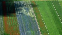 Italia e altri 15 Paesi chiedono di non tagliare agricoltura e coesione nel bilancio Ue 2028-2034. Francia e Germania vogliono più fondi per difesa e ricerca