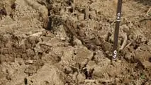 Spiegazione delle principali indennità negli espropri di terreni agricoli, tra valore del fondo, colture, miglioramenti e ripartizione tra i soggetti coinvolti
