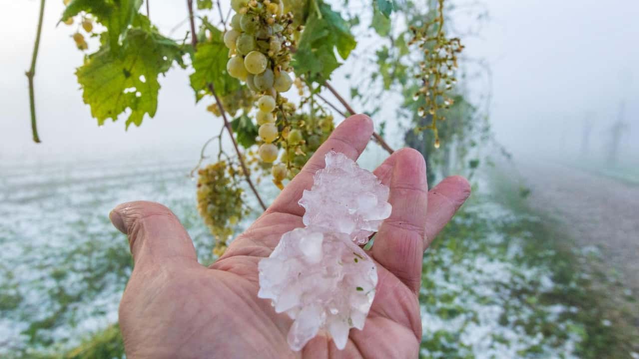Clima estremo e cooperative: il rischio di perdere la mutualità prevalente con più tasse e adempimenti. Cosa dice la legge oggi