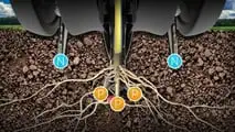 Applicare il modello 4R alla fertilizzazione della soia per pianificare fonte, dose, momento e posizione dei nutrienti riducendo le emissioni di N2O