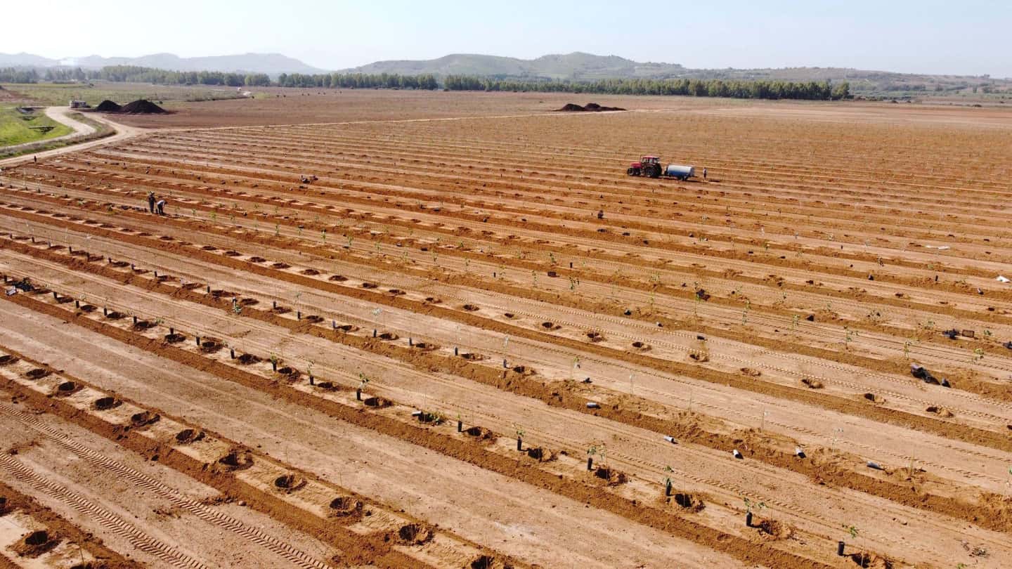Agricoltura e finanza per le aziende agricole