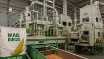 BF acquista sito Syngenta: focus su sementi mais ibrido