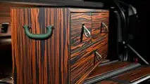BMW X7 xDrive40d by Poldo Dog Couture