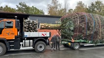 Natale 2023, l'abete Nordmann trainato da un Unimog U 435