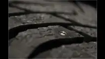 Streck die Krallen aus