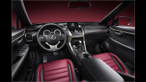Lexus NX: Scharfes Teil