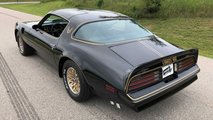1977 Pontiac Trans Am Special Edition