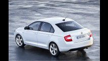 Scharfe Skoda-Studie am See