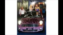 Leoparden-Mini in Wien