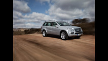 Mercedes Classe ML, GL, R BlueTEC