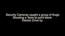 Tesla Model X Shot With Handgun