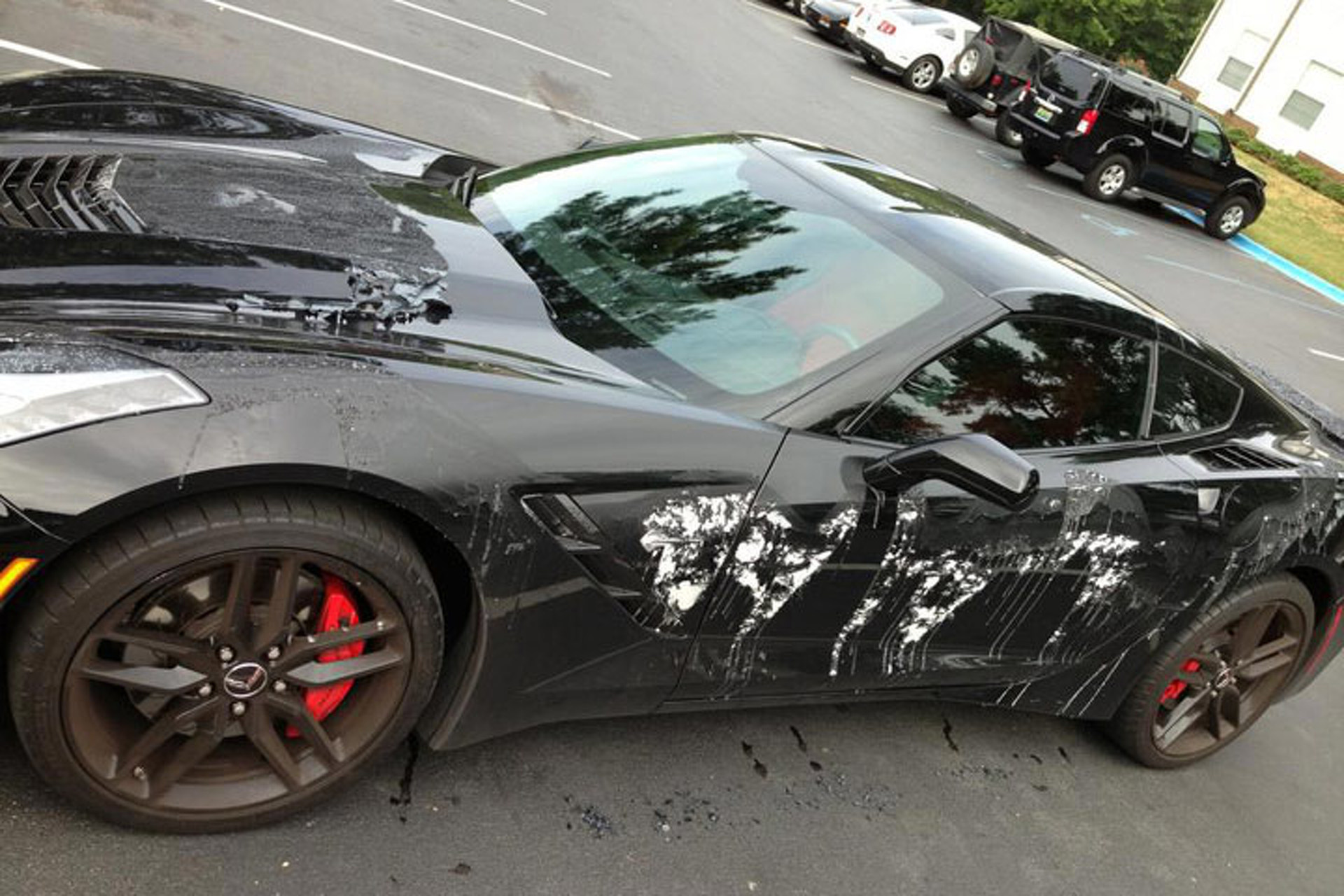automotive paint stripper Atlanta craigs encounter erotic list