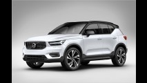 Schwedische SUV-Schönheit
