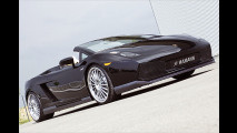 Spyder-Hamann