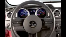 Entfesselter Mustang