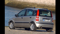 Details zum Allrad-Panda