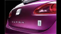 Seat Leon Pies Descalzos