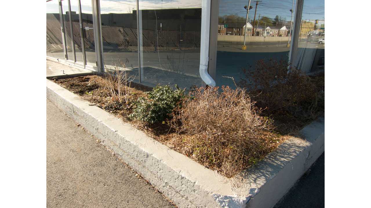 Providence Highway landscaping