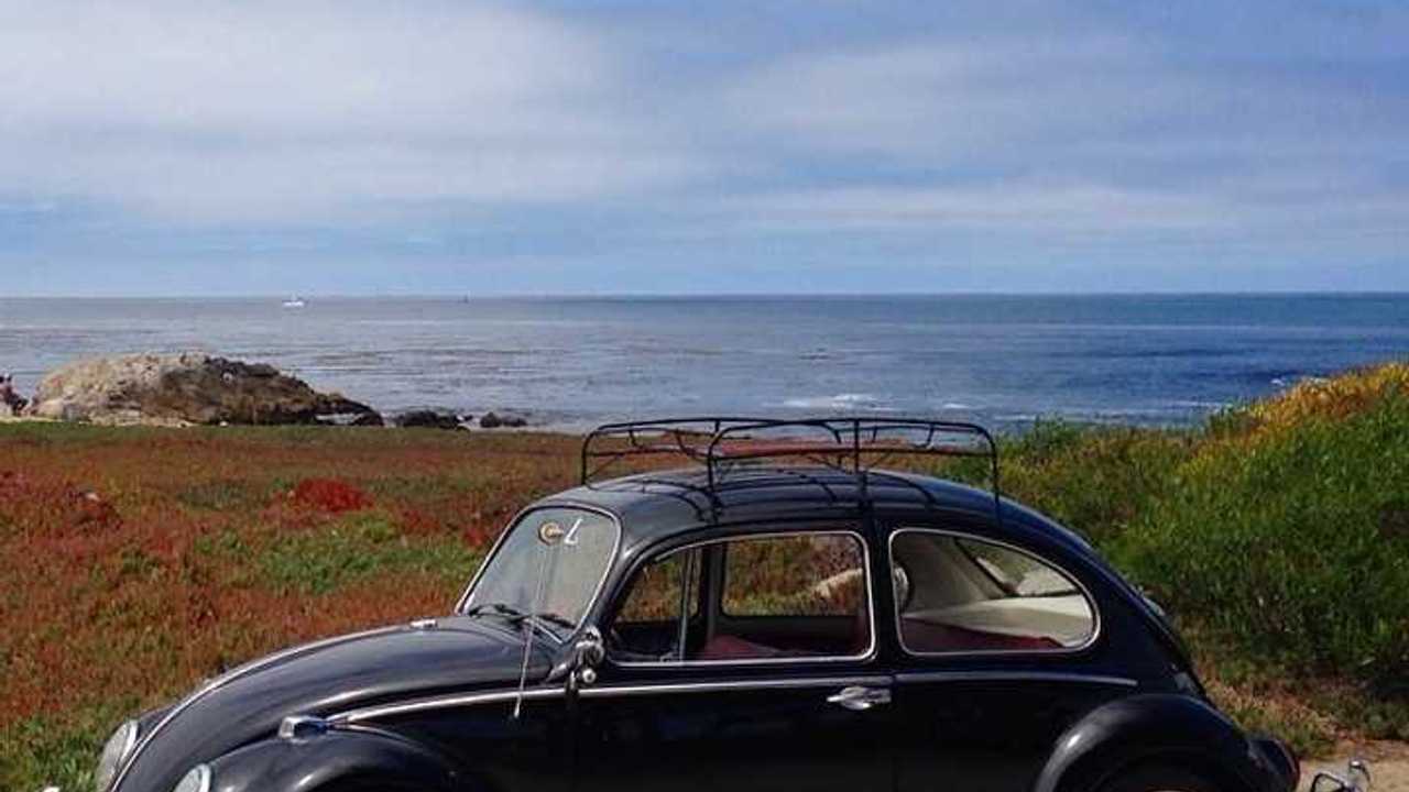 ZelectricBug