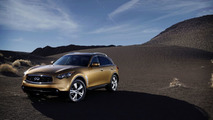 2010 Infiniti FX