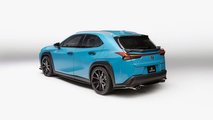Lexus UX 250h by Clark Ishihara of VIP Auto Salon