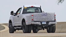 2020 Ford Super Duty Casus Fotoğraflar