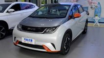 BYD Dolphin 2021