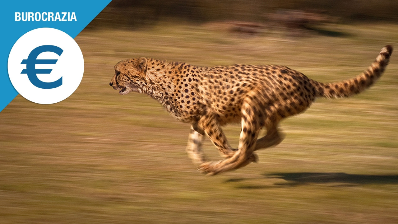 [Copertina] - Multa per eccesso di velocità, fornire sempre il nome del guidatore