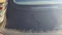 Another Tesla Spontaneously Shattered Its Glass: Check The Sentry Mode Video