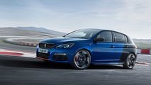 263 CV: Peugeot 308 GTi