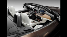 BMW Z4 Pure Fusion Design