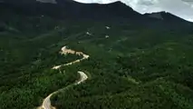 Ken Block Climbkhana