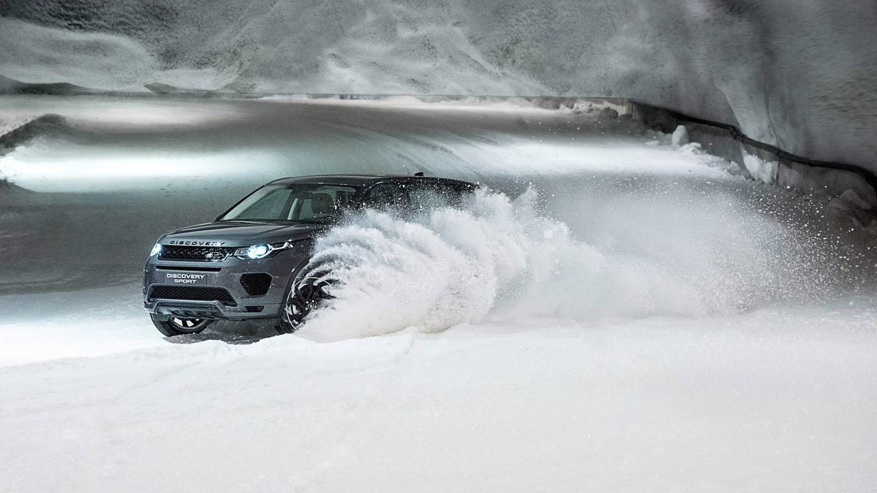 Dog power v horsepower Land Rover Discovery Sport