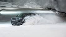 Dog power v horsepower Land Rover Discovery Sport