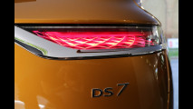 DS a Parco Valentino 2017