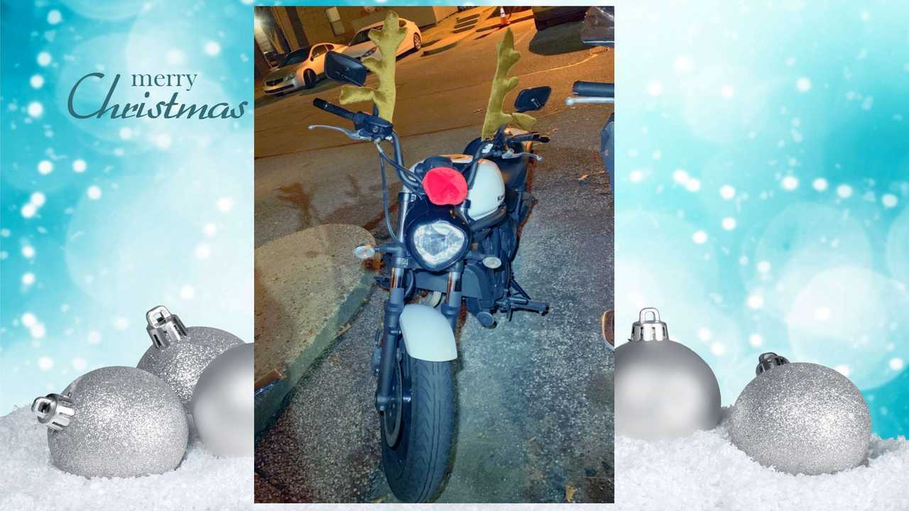 Vulcan 650 Rudolph