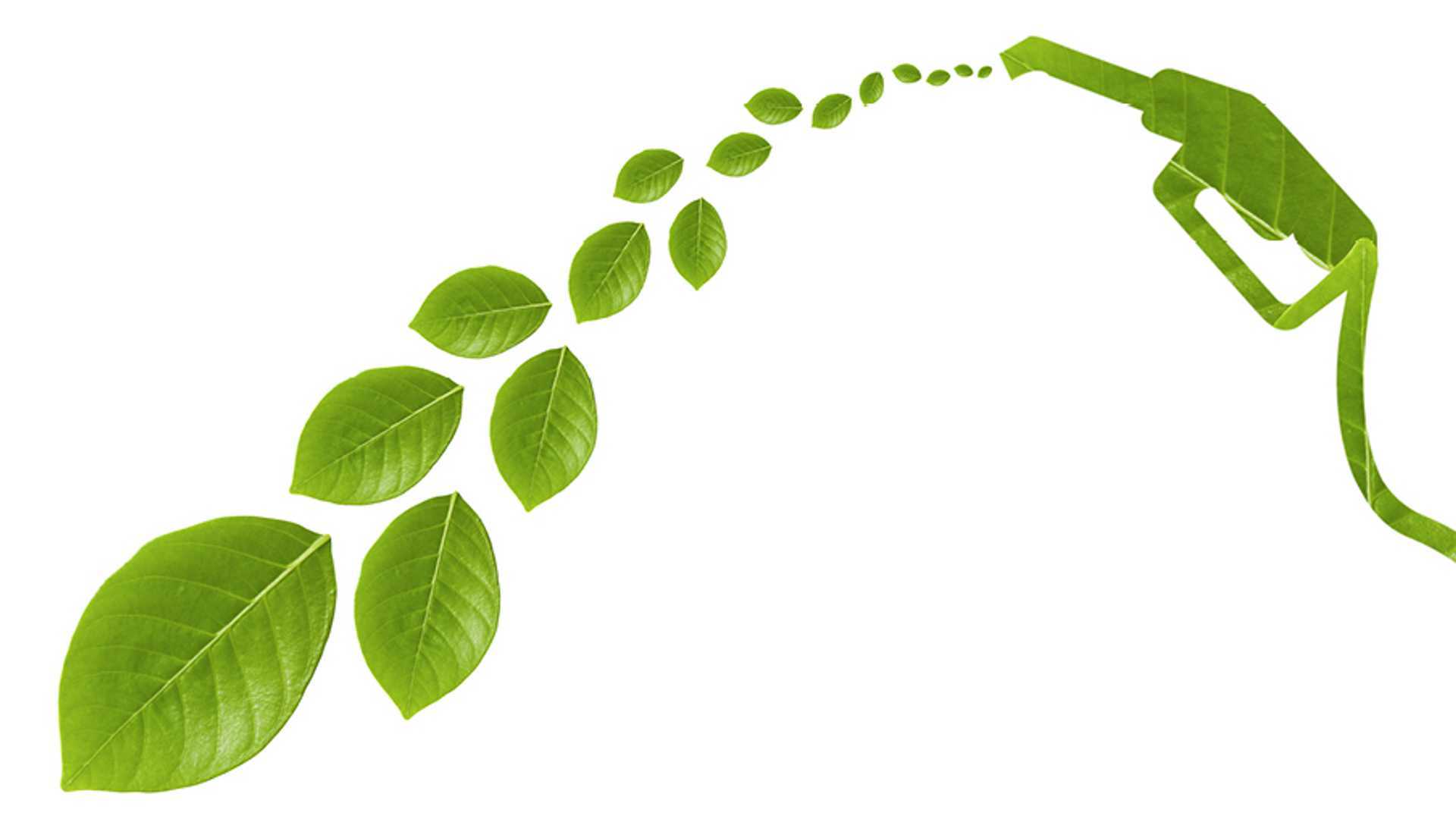 Dizel motorlara rağbet devam edecek mi?