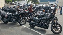 First time Harley