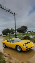 Lamborghini Miura 50th anniversary celebrations