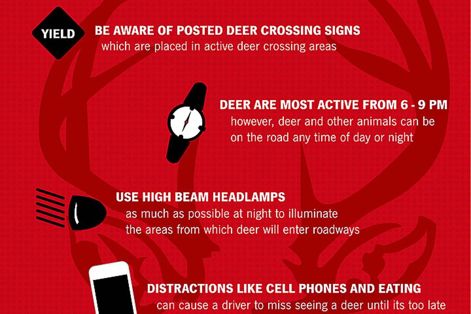 Top 10 States Where You're Likely To Hit a Deer