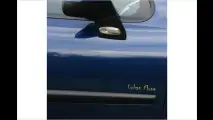 Urbaner Löwe