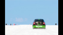 Skoda auf Speed